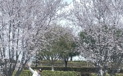 国产乱码卡二卡三卡老狼在线观看